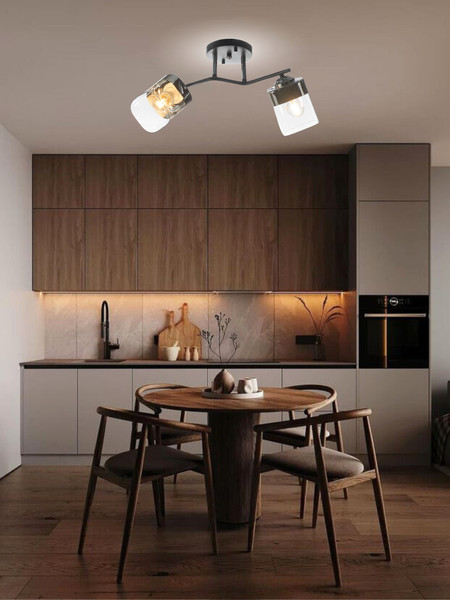 Изображение товара Потолочный светильник Aitin-Pro НПБ 02-2x60-101 / K2117/2 (черный/хром)