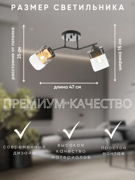 Изображение товара Потолочный светильник Aitin-Pro НПБ 02-2x60-101 / K2117/2 (черный/хром)