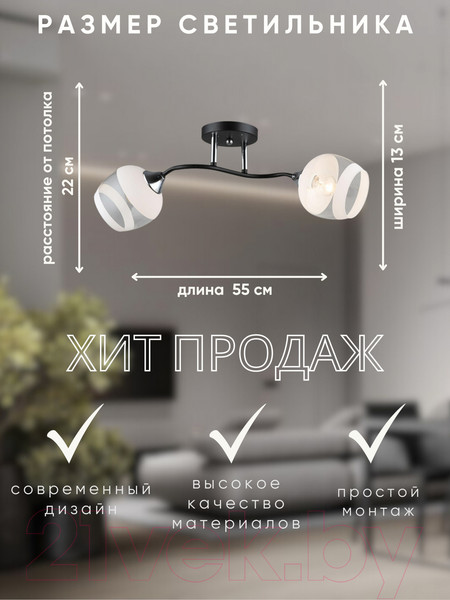 Изображение товара Потолочный светильник Aitin-Pro НПБ 02-2x60-101 / K2132/2 (черный/хром)