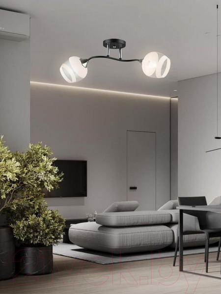 Изображение товара Потолочный светильник Aitin-Pro НПБ 02-2x60-101 / K2132/2 (черный/хром)