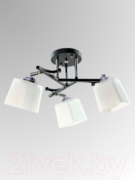 Изображение товара Спот Aitin-Pro НПБ 02-3x60-101 / N5488/3 (черный/хром)