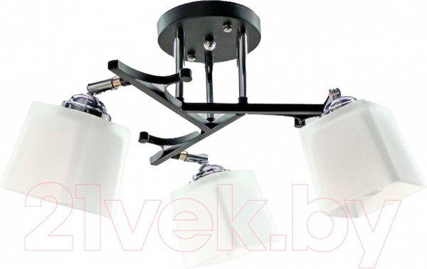 Изображение товара Спот Aitin-Pro НПБ 02-3x60-101 / N5488/3 (черный/хром)