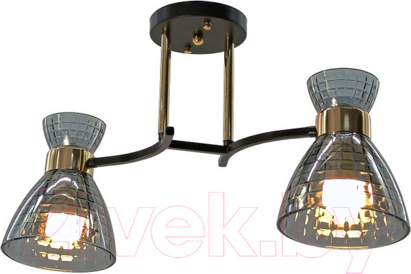 Изображение товара Потолочный светильник Aitin-Pro НПБ 02-2x60-101 / N5686/2 (кофе/золото)