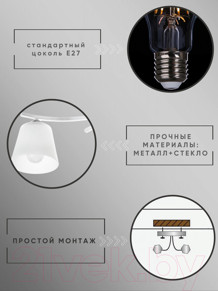 Изображение товара Потолочный светильник Aitin-Pro НПБ 02-2x60-101 / N5951/2 (белый/хром)
