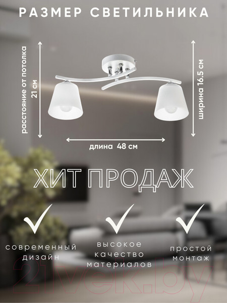 Изображение товара Потолочный светильник Aitin-Pro НПБ 02-2x60-101 / N5951/2 (белый/хром)