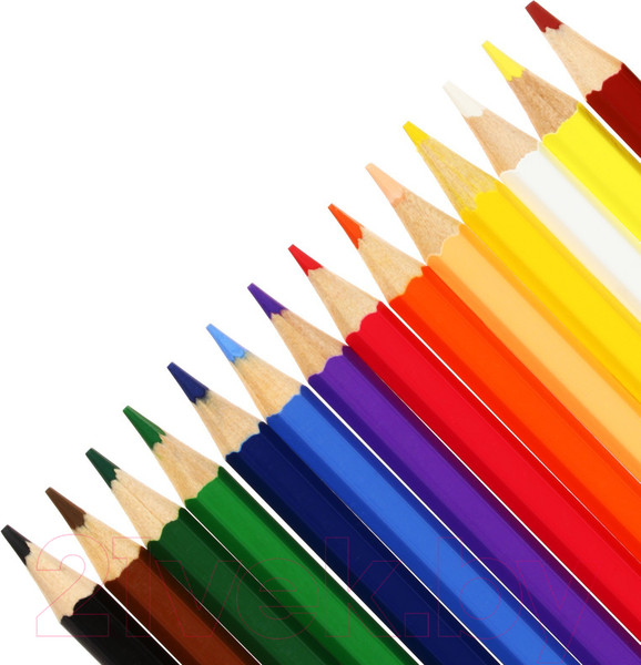 Изображение товара Набор цветных карандашей Koh-i-Noor Racoon / 3554024059KS (24цв)