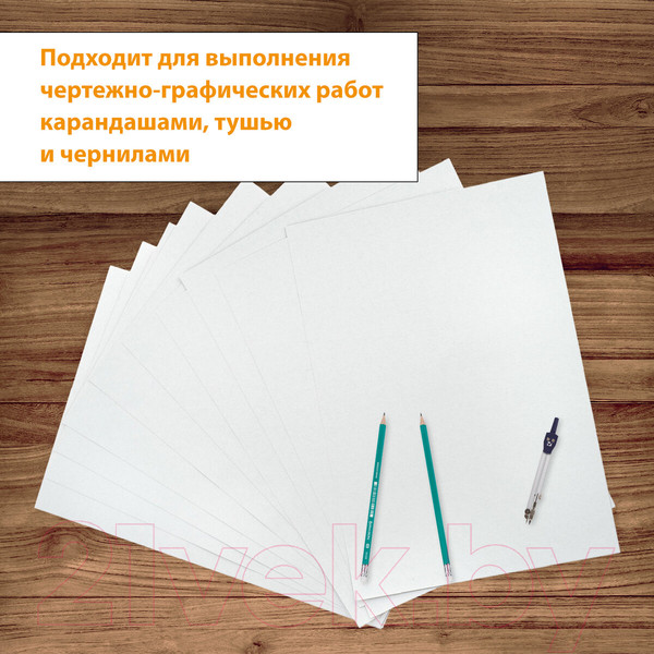 Изображение товара Папка для черчения Brauberg А3 / 129254 (24л)