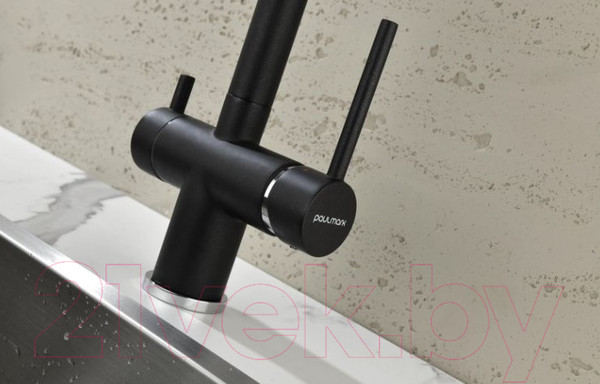 Изображение товара Смеситель Paulmark Serpentine Se213222-418