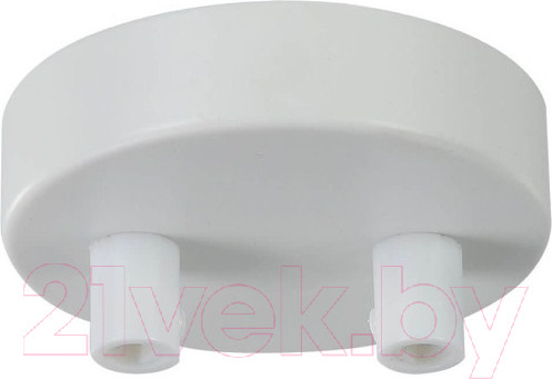 Изображение товара Потолочная база для светильника Maytoni Universal Base SPR-BASE-R-02-W