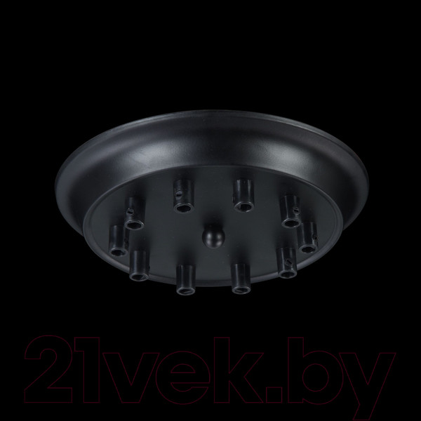 Изображение товара Потолочная база для светильника Maytoni Universal Base T455-10-BASE