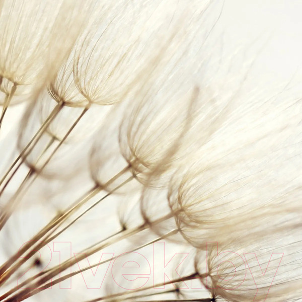 Изображение товара Фотообои листовые Citydecor Цветы и Растения 140 (300x260см)