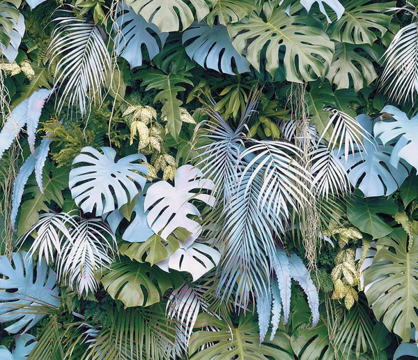 Изображение товара Фотообои листовые Citydecor Цветы и Растения 145 (300x260см)