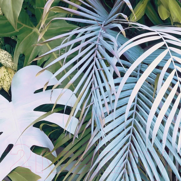 Изображение товара Фотообои листовые Citydecor Цветы и Растения 145 (300x260см)