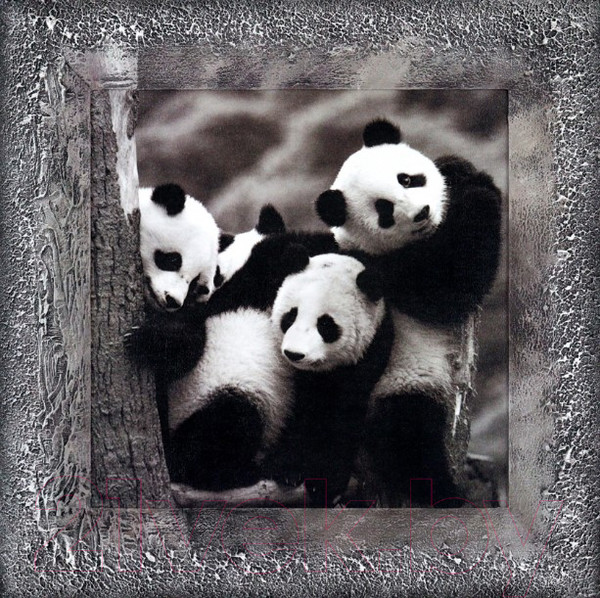 Изображение товара Картина Декарт Мишки панды 8Л0204 (в раме)