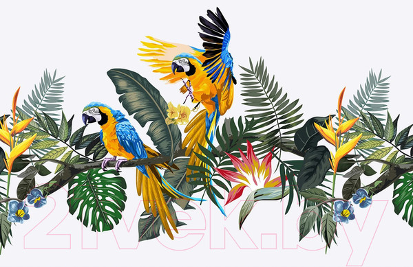 Изображение товара Фотообои листовые Citydecor Абстракция 394 (400x260см)