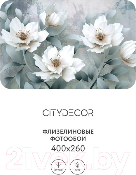 Изображение товара Фотообои листовые Citydecor Абстракция 41 (400x260см)