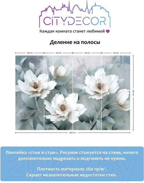 Изображение товара Фотообои листовые Citydecor Абстракция 41 (400x260см)