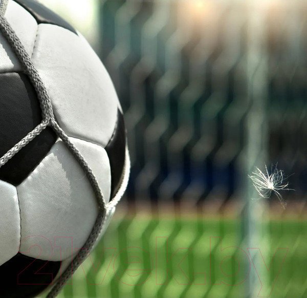 Изображение товара Фотообои листовые Citydecor Детская 379 (400x260см)