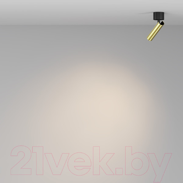 Изображение товара Спот Maytoni Ceiling C141CL-L125-6W3K-BBS