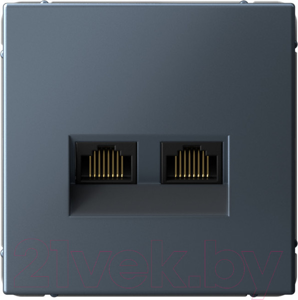 Изображение товара Розетка Systeme (Schneider) Electric ArtGallery GAL000788