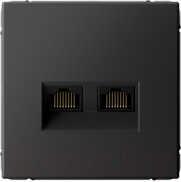 Изображение товара Розетка Systeme (Schneider) Electric ArtGallery GAL001488