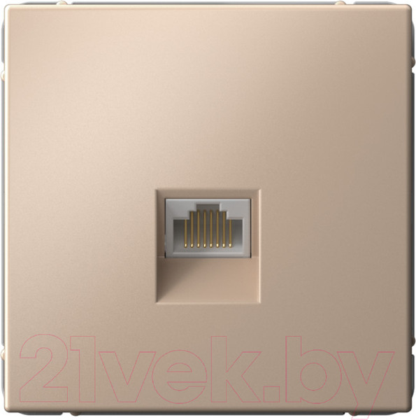 Изображение товара Розетка Systeme (Schneider) Electric ArtGallery GAL001286