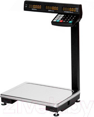 Изображение товара Весы платформенные Масса-К МК-15.2-ТВ21 RS/USB