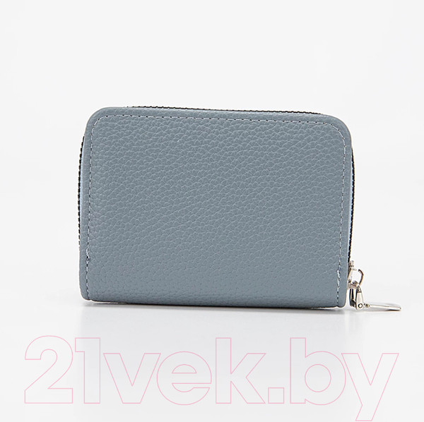 Изображение товара Визитница Passo Avanti 519-973-28-MNT (мятный)