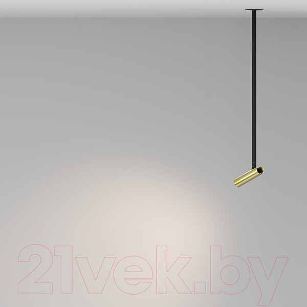 Изображение товара Потолочный светильник Maytoni Pendant P141RS-L125-6W3K-BBS