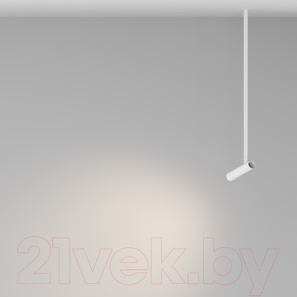 Изображение товара Потолочный светильник Maytoni Pendant P141RS-L125-6W3K-W