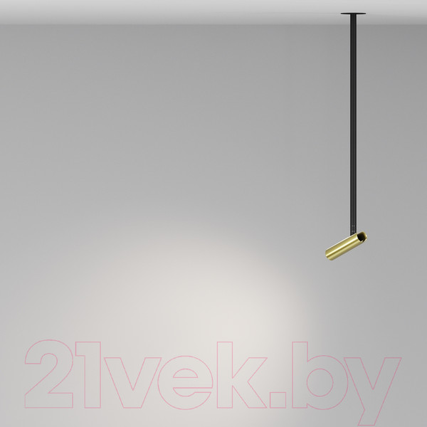 Изображение товара Потолочный светильник Maytoni Pendant P141RS-L125-6W4K-BBS