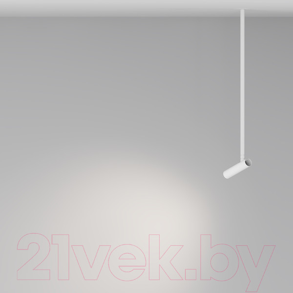 Изображение товара Потолочный светильник Maytoni Pendant P141RS-L125-6W4K-W