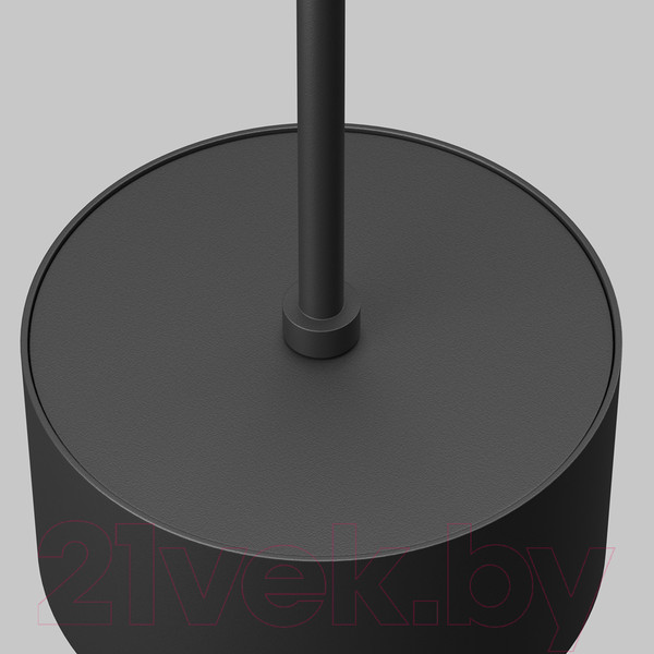 Изображение товара Люстра Maytoni P102PL-12W4K-B