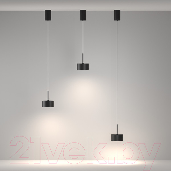 Изображение товара Люстра Maytoni P102PL-12W4K-B