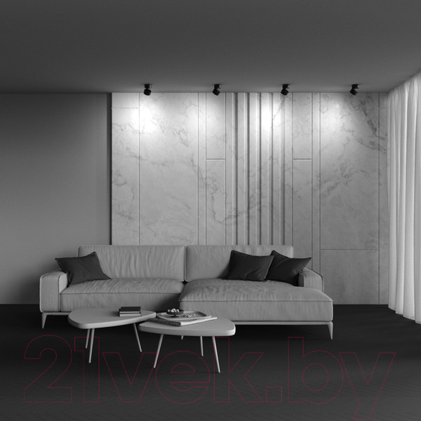 Изображение товара Спот Maytoni Ceiling C024CL-12W3K-B-1