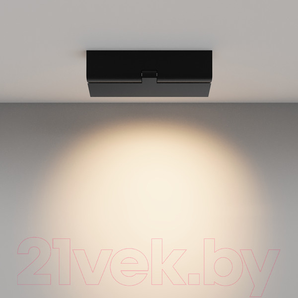 Изображение товара Люстра Maytoni Ceiling C136CL-12W3K-B