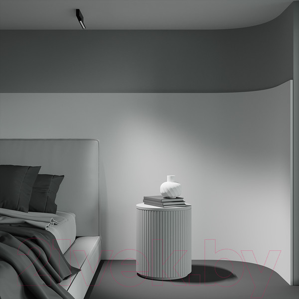 Изображение товара Люстра Maytoni Ceiling C136CL-12W3K-B