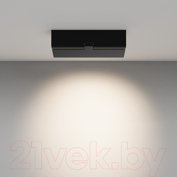 Изображение товара Люстра Maytoni Ceiling C136CL-12W4K-B