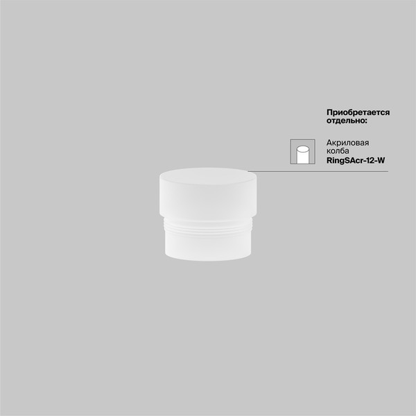 Изображение товара Трековый светильник Maytoni TR041-2-12W3K-BBS