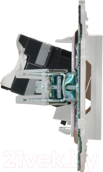 Изображение товара Розетка IEK Skandy SK-K20-1-K01 (белый)