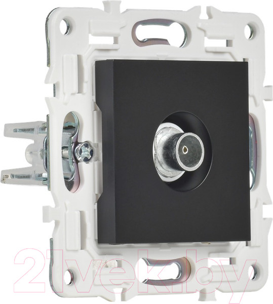 Изображение товара Розетка IEK Skandy SK-A10-O-K02 (черный)