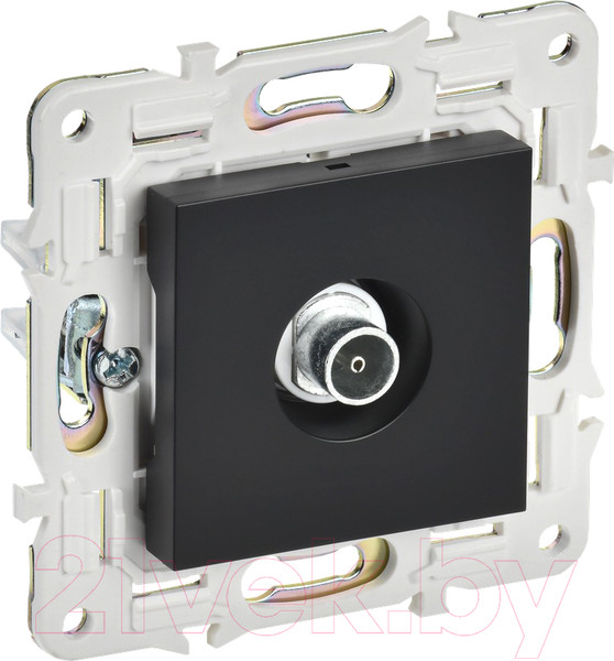 Изображение товара Розетка IEK Skandy SK-A10-O-K02 (черный)