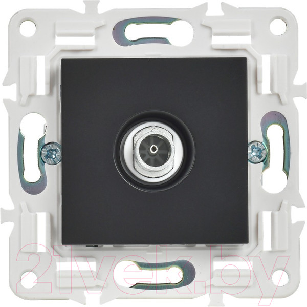 Изображение товара Розетка IEK Skandy SK-A10-O-K02 (черный)