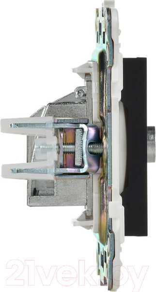 Изображение товара Розетка IEK Skandy SK-A10-O-K02 (черный)