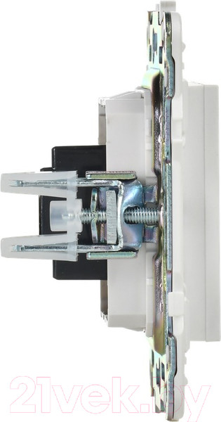 Изображение товара Розетка IEK Skandy SK-H10-K01 (белый)