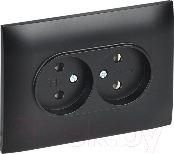 Изображение товара Розетка IEK Skandy SK-R20-10-K02-F (черный)