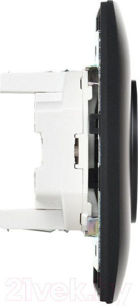 Изображение товара Розетка IEK Skandy SK-R20-10-K02-F (черный)