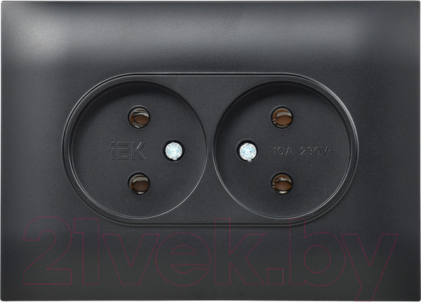 Изображение товара Розетка IEK Skandy SK-R20-10-K02-F (черный)