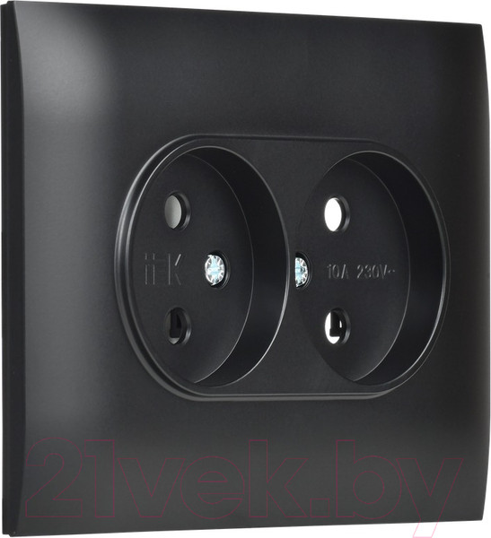 Изображение товара Розетка IEK Skandy SK-R20-10-K02-F (черный)