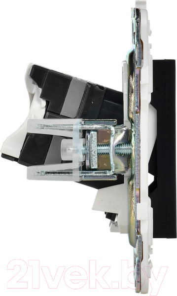 Изображение товара Розетка IEK Skandy SK-K20-1-K02 (черный)